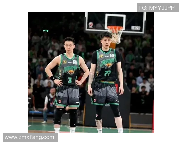 辽宁对北控精彩对决回放2019年11月24日全场比赛回顾与分析