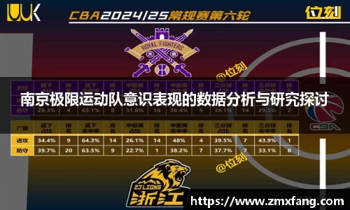 南京极限运动队意识表现的数据分析与研究探讨